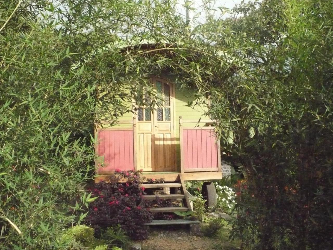 Hosteria La Roulotte - Mindo Kültér fotó