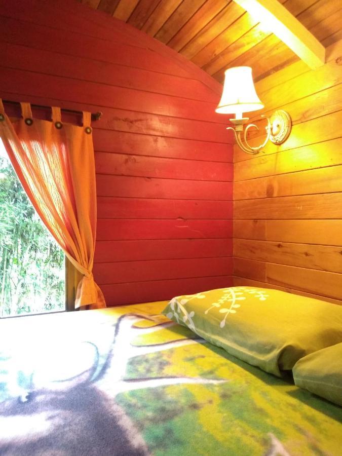 Hosteria La Roulotte - Mindo Kültér fotó